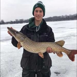 Meet your Posher, Cade